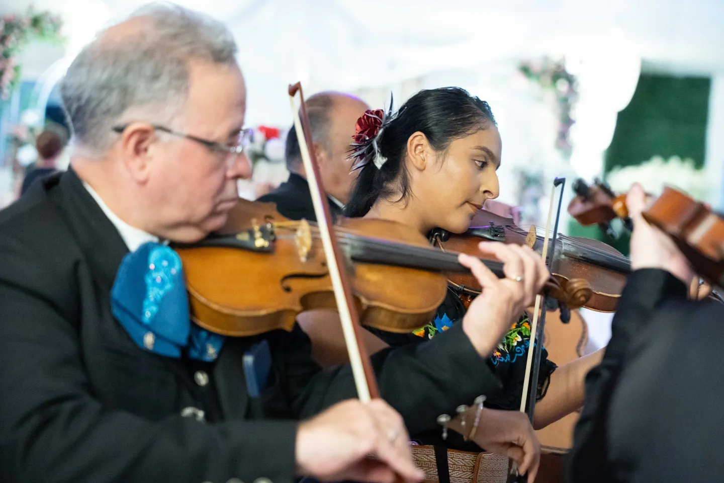 Musicians playing violins at a performance.